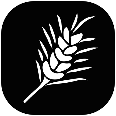 abnehmen-phase1-glykogenspeicher-leeren