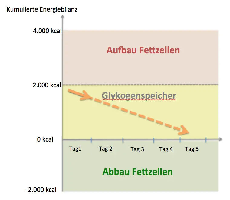 Online Abnehmprogramm Kostenlos: Glykogenspeicher Leeren