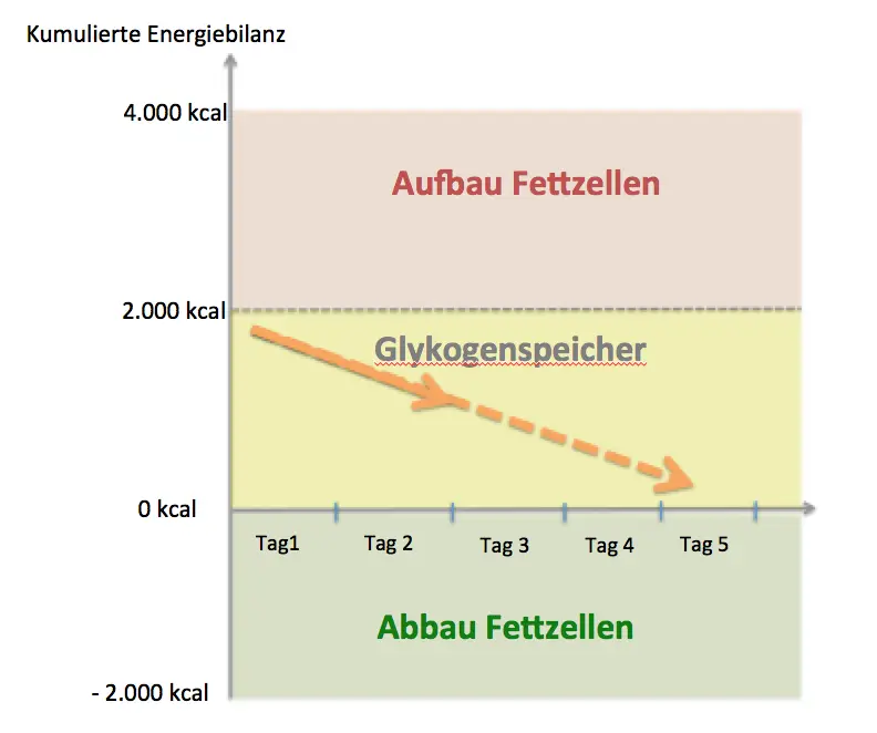 Online Abnehmprogramm Kostenlos: Glykogenspeicher Leeren