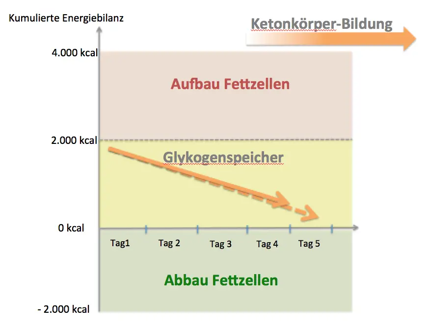 Online Abnehmprogramm Kostenlos