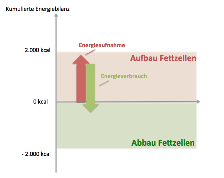 Online Abnehmprogramm Kostenlos