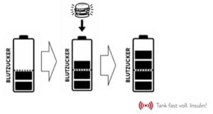 Blutzuckerspiegel steigt fettverbrennung gestoppt durch freisetzung von insulin