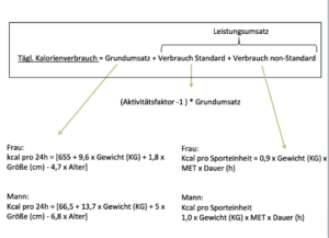 grundumsatz berechnen