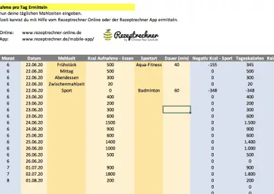 Ernährungstagebuch Vorlage Excel