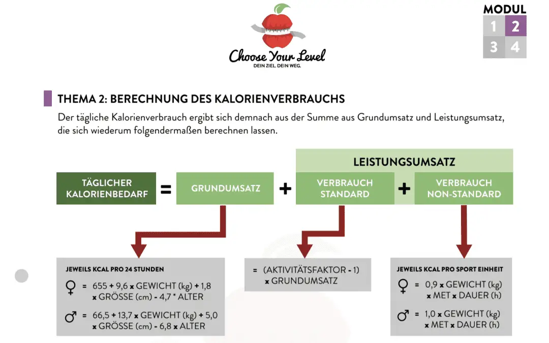 4 Wochen Diätplan kostenlos